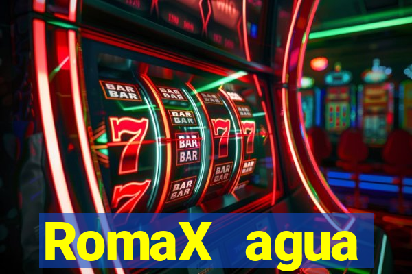 RomaX agua sanitaria fispq agua sanitaria romax